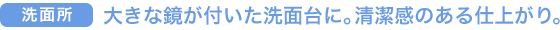 大きな鏡が付いた洗面台に。清潔感のある仕上がり。